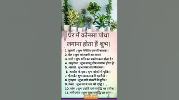 "🌿 घर में कौन-सा पौधा लगाना है शुभ? | वास्तु और धर्म के अनुसार 11 शुभ पौधे 🌿"