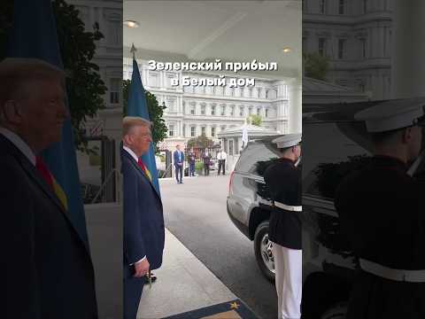 Начались переговоры Трампа и Зеленского. Последний в пиджаке, но без галстука #переговоры #сша