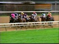 2000 Breeders' Cup Classic