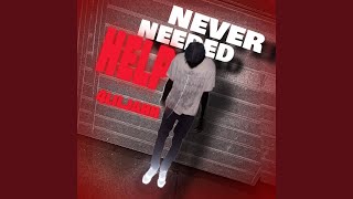 NEVER NEEDED HELP