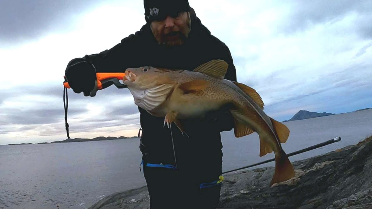 Слава богу за это!