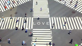 Marsey  Love  