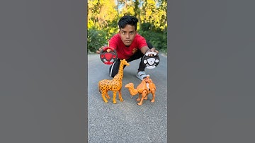 2 Ta RC Giraffe and Remote Wala Camel Dekho 😱