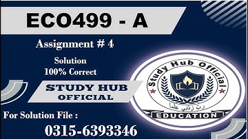 ECO499A Project Assignment 4 solution 2025 #eco499a #vu