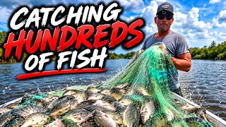 Epic CATCH‼️‼️ #viral #fishing #trending  #shorts #fishingvideo