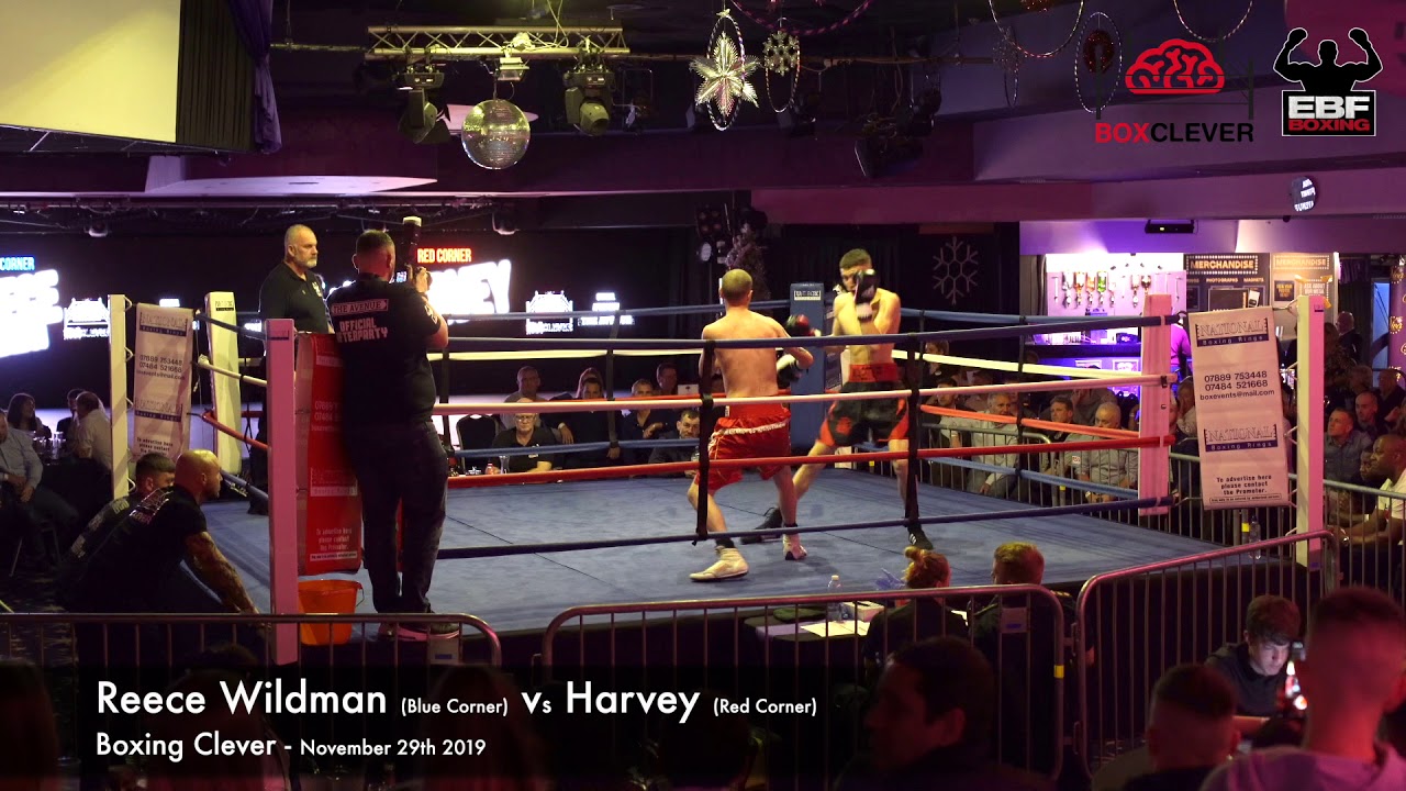 BOXCLEVER BOXING Reece Wildman vs Harvey YouTube