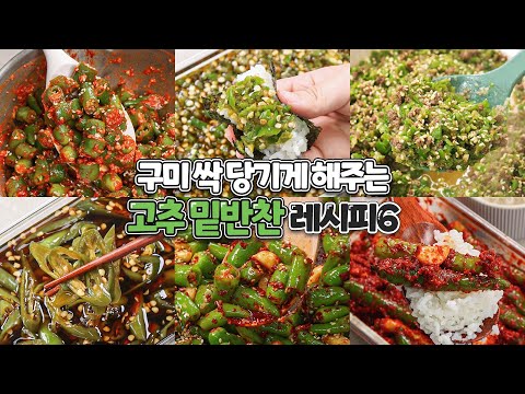 구미가 싹당기는 땡초 밑반찬 모음🌶️