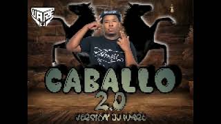 Caballo 2.0 Versión - Dj Ware
