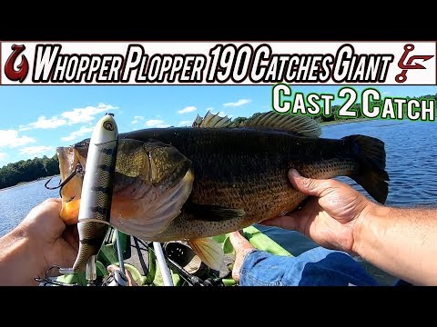 Whopper Plopper 190 Catches Giant 5lb Bass (Cast 2 Catch