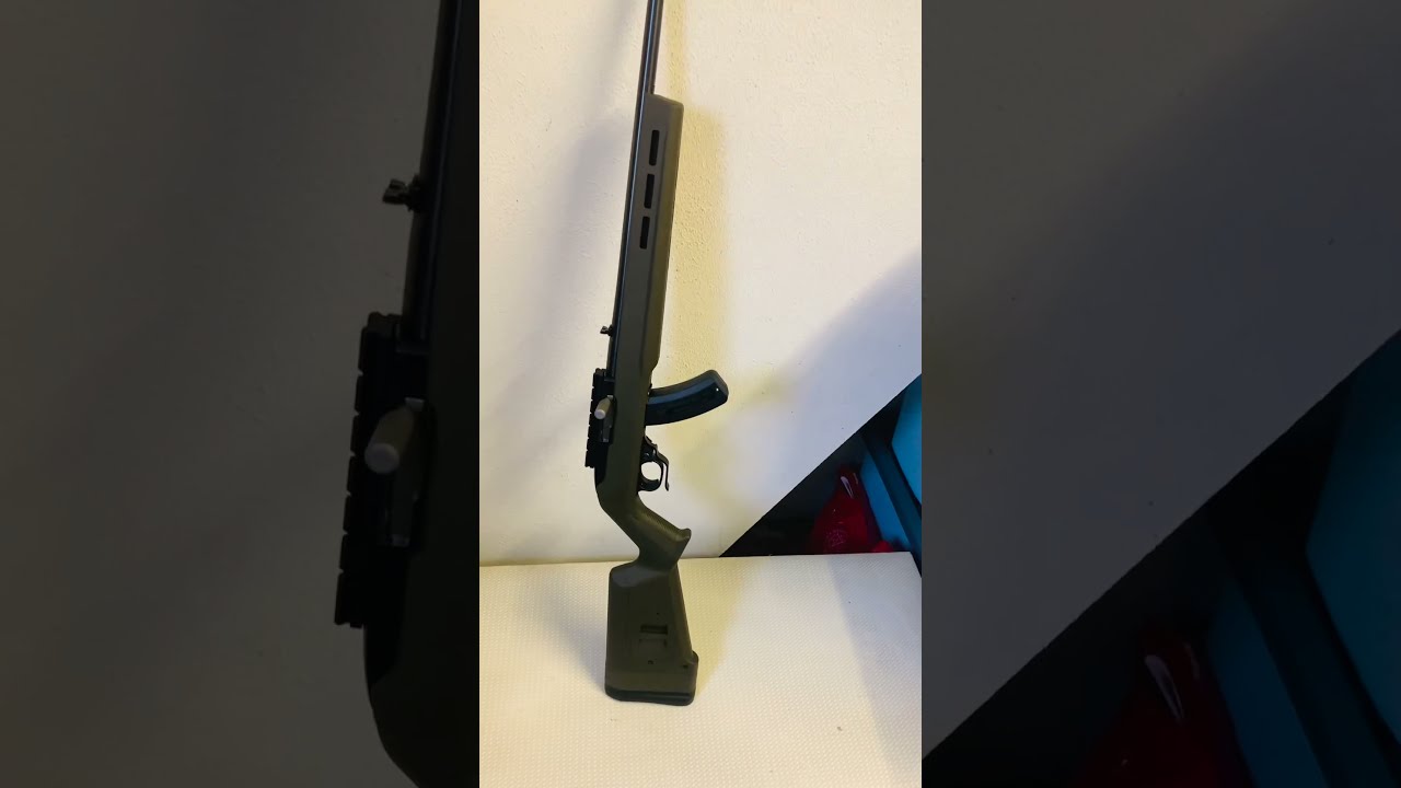 Ruger 10 22 Upgrades Transformation