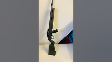 Ruger 10/22 upgrades transformation