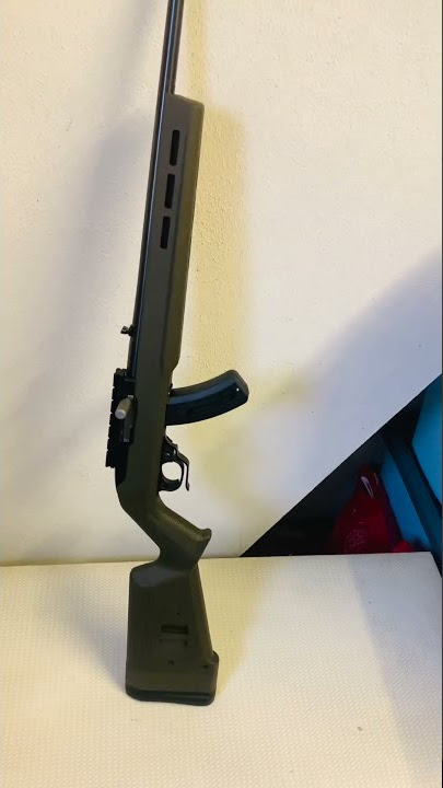 Ruger 10/22 upgrades transformation