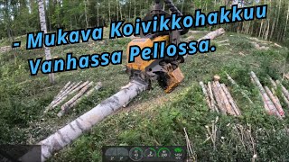 Download Lagu Koivikon Uudistushakkuuta Vanhalla Pellolla. Ponsse Scorpion K AC New H7 2025 MP3 Download Lagu Koivikon Uudistushakkuuta Vanhalla Pellolla. Ponsse Scorpion K AC New H7 2025 MP3
