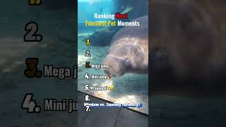 PET FAILS of 2026! 😂 Funniest Animal Moments You WON'T Believe!