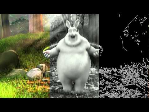 OpenCV 3 video