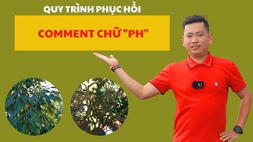 Quy trình phục hồi comment cho em Khánh chữ "PH" | Nông Nghiệp Tây Nguyên TKA