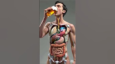 What Happens Inside Your Body When You Drink Beer?
