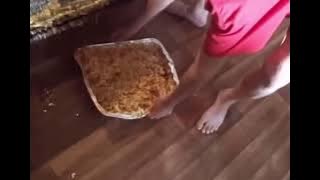 goddamn michael - lasagna