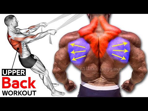 How to grow your Upper back workout (Best exercises)