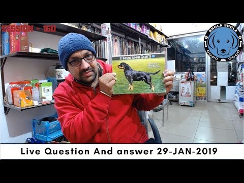 puppy paradise Live Show Question & Answer 29 Jan, 2019