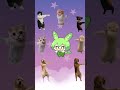 【猫ミーム】ちっちゃずんだもんが踊る洗澡歌 #猫ミーム #犬ミーム #ハムミーム #ずんだもん