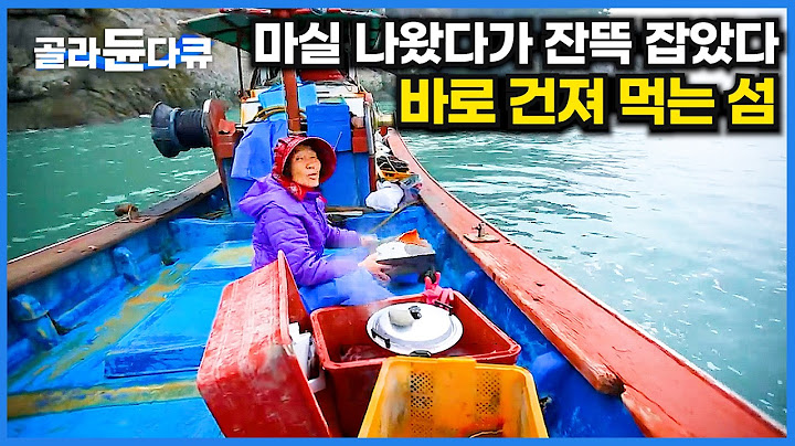마실 간 김에 그물 던지면 먹을 게 생긴다. 섬 바다 사람만 아는 배 타는 재미｜한국기행｜#골라듄다큐