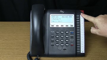 ESI 45 Business Phone: Programmable Keys