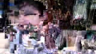 Capture 20110616 1