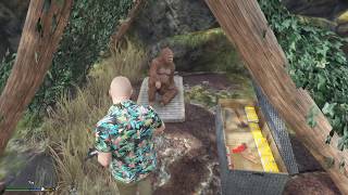GTA 5: ТЫ НИКОГДА НЕ ДОБЕРЕШЬСЯ К ЭТОМУ ОСТРОВУ! НАШЕЛ САМЫЙ ТАЙНЫЙ ОСТРОВ С ВЫЖИВШИМ В ГТА 5 GTA 5: ТЫ НИКОГДА НЕ ДОБЕРЕШЬСЯ К ЭТОМУ ОСТРОВУ! НАШЕЛ САМЫЙ ТАЙНЫЙ ОСТРОВ С ВЫЖИВШИМ В ГТА 5