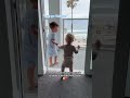 Toddler's ADORABLE Reaction To Showing Baby Sister The BEACH!