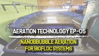 Nanobubble Technology for Biofloc Shrimp Farming System | Aeration Series Episode 05