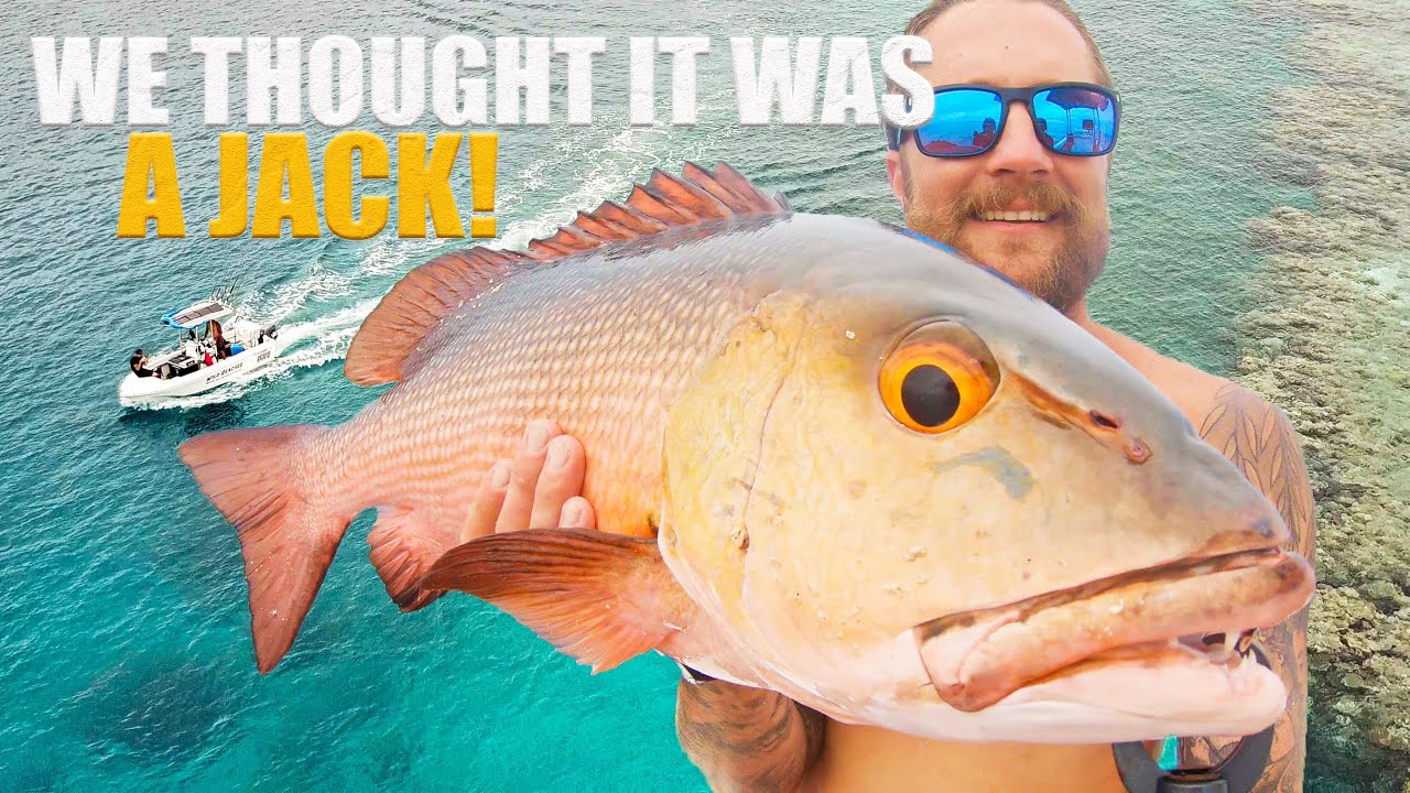 Mangrove Jack OR Red Bass??  Epic night & Day at sea 