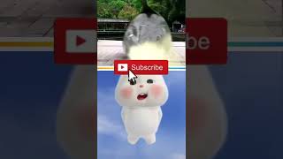 Cute Shark vs cute fat rabbit #shorts