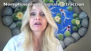 How to Tell if Someone Likes You