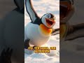 Penguin Kepo Jatuh ke Salju, Temennya Malah Ikut-Ikutan 😂🐧 #Shorts