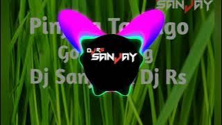 Pinjara Ta Rago| Megharaj Meshram |Gondi Song| Dj Sanjay x Dj Rs