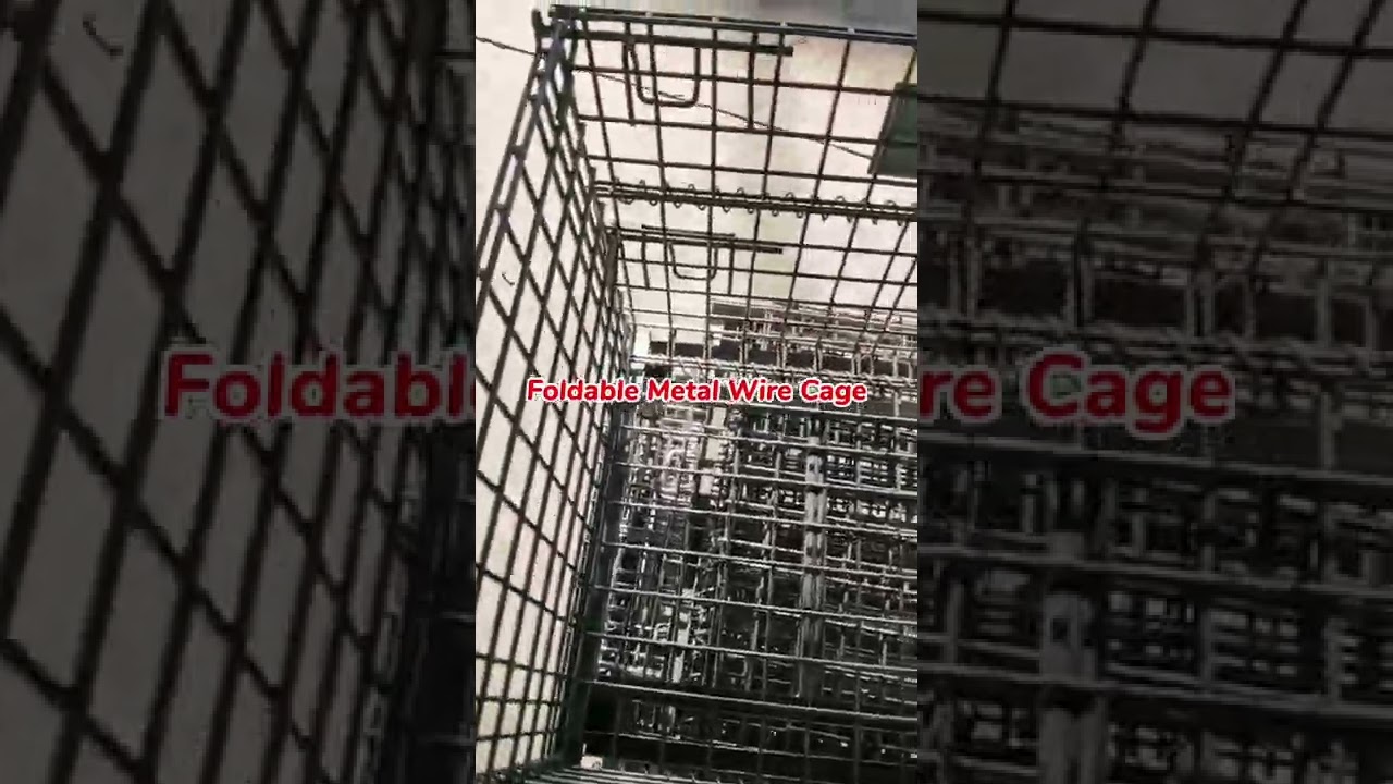 Heavy Duty Storage Cages Foldable Metal Wire Boxes Metal Crates for Modern Warehouse Made in China