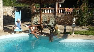 Paraguay Immobilien Video Haus Kaufen Haus Bauen Auswandern Tipps1