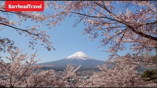 Barrhead Travel Wendy Wu Overview