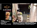【Sat.06/06/2026 Livecamera at the florist】 スローダンス SLOWDANCE 等々力 尾山台 世田谷 Setagaya 東京 Tokyo 日本 Japan