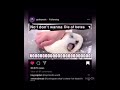 Die Of Betes Meme