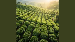 Hidden Fireflies At Dawn