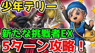 【ドラクエタクト】少年テリーさん、新たな挑戦者EXを５ターン攻略を可能にしてしまうぶっ壊れだった件【廃課金攻略】