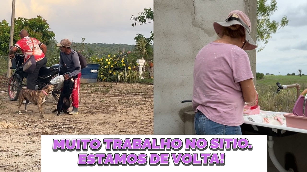 EVOLUÇÃO CONSTANTE NO SITIO! CASINHA ESTÁ FICANDO LINDA