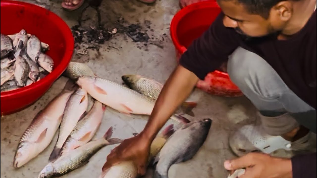 আমার বাপের বাড়িতে পাঠানোর জন্য বাজার থেকে মাছ নিয়ে আসা হয়েছে।