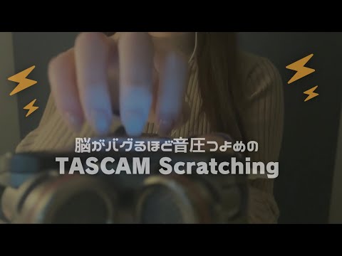 ASMR イヤホンなしOK🎧自称音圧世界一のTASCAM Mic Scratching🐰⚡️No Talking,For people without headphone