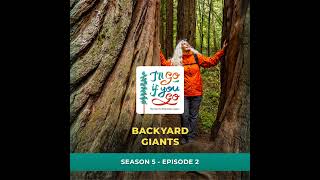 Backyard Giants