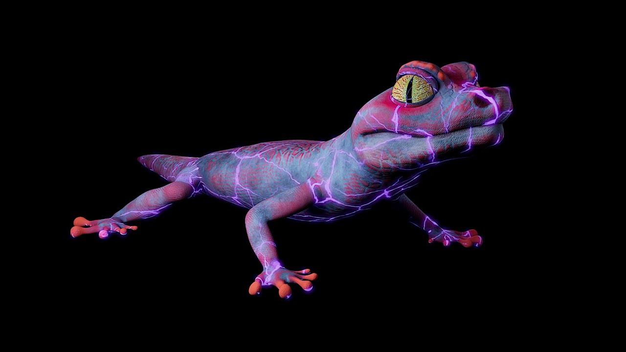 Gecko 3D render - YouTube