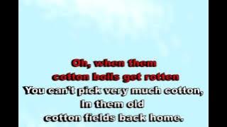 Cotton Field - Creedence (karaoke)