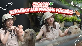 Download Lagu CAWANG (ECA PAWANG) - KAGET BANGET TERNYATA MAS BRO BISA NYELEM SAMBIL TIDUR?? 👀🤔🥰✨ MP3 Download Lagu CAWANG (ECA PAWANG) - KAGET BANGET TERNYATA MAS BRO BISA NYELEM SAMBIL TIDUR?? 👀🤔🥰✨ MP3